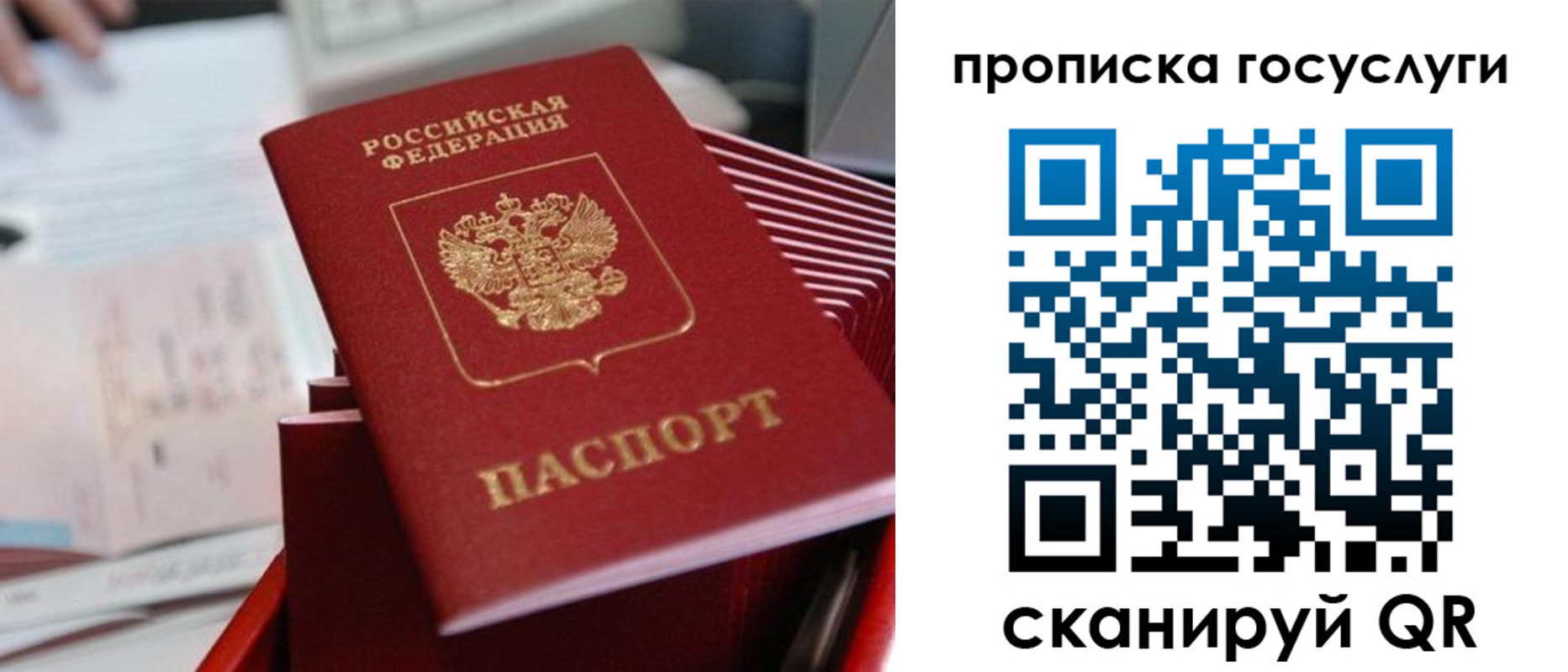 прописка законно в Марий Эл